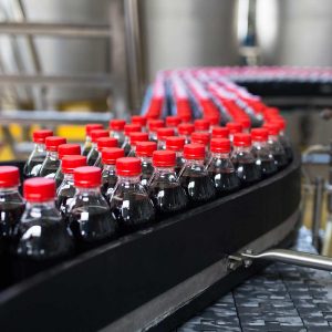 Bottle Factory Bottle Factory